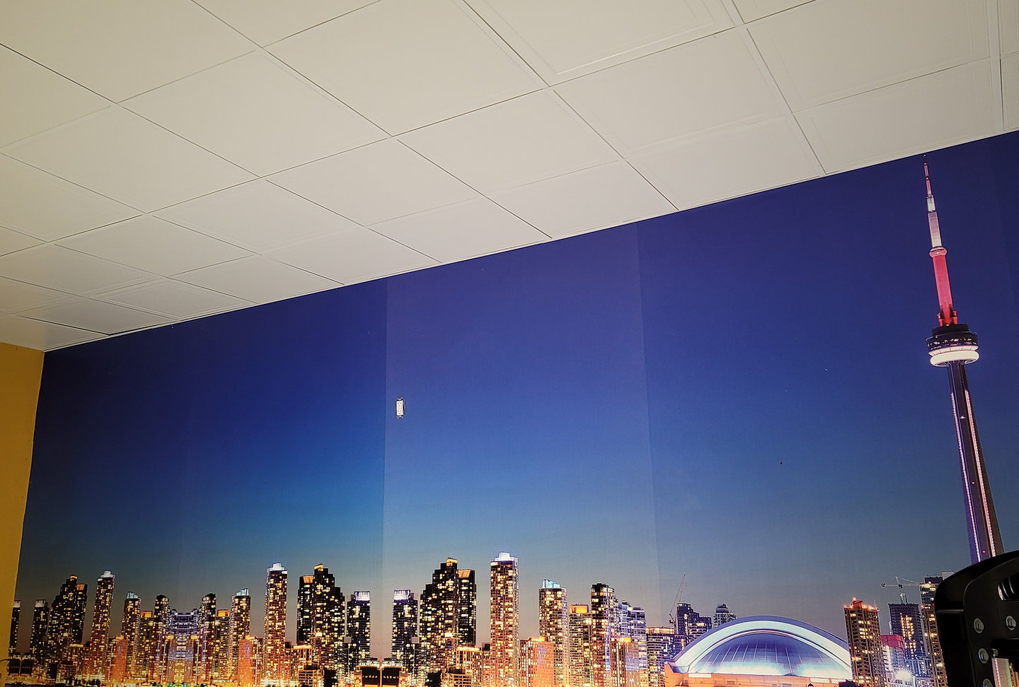 Suspended ceiling above a Toronto skyline mural in a Caledon garage
